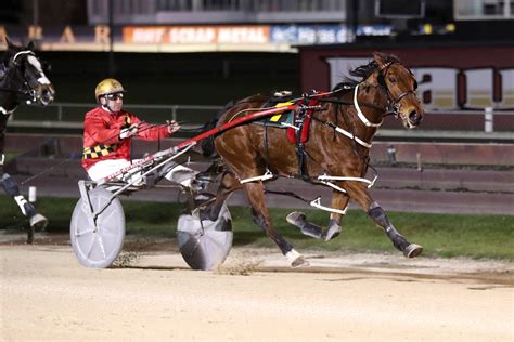 addington races|new zealand harness racing.